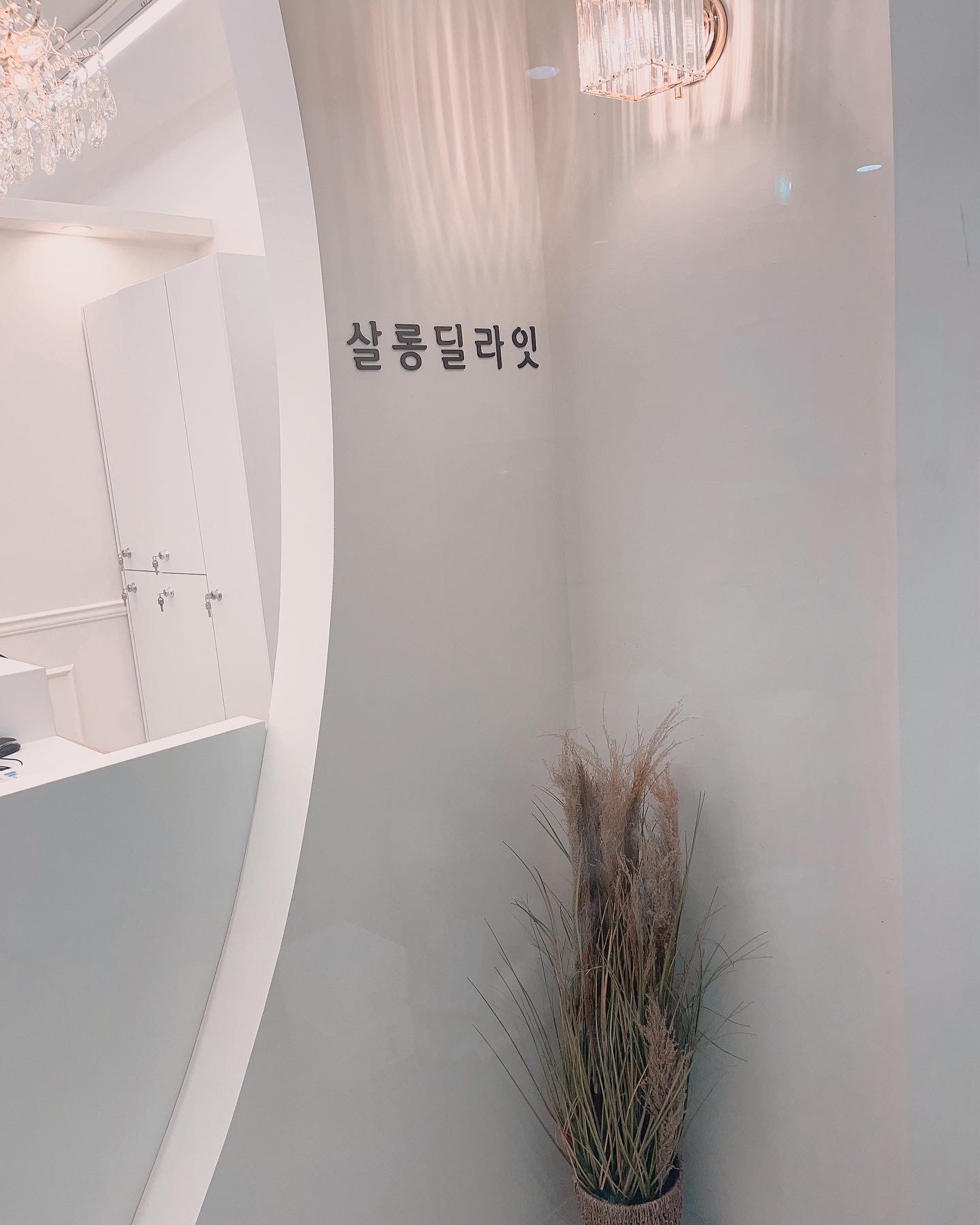 살롱딜라잇지축 3