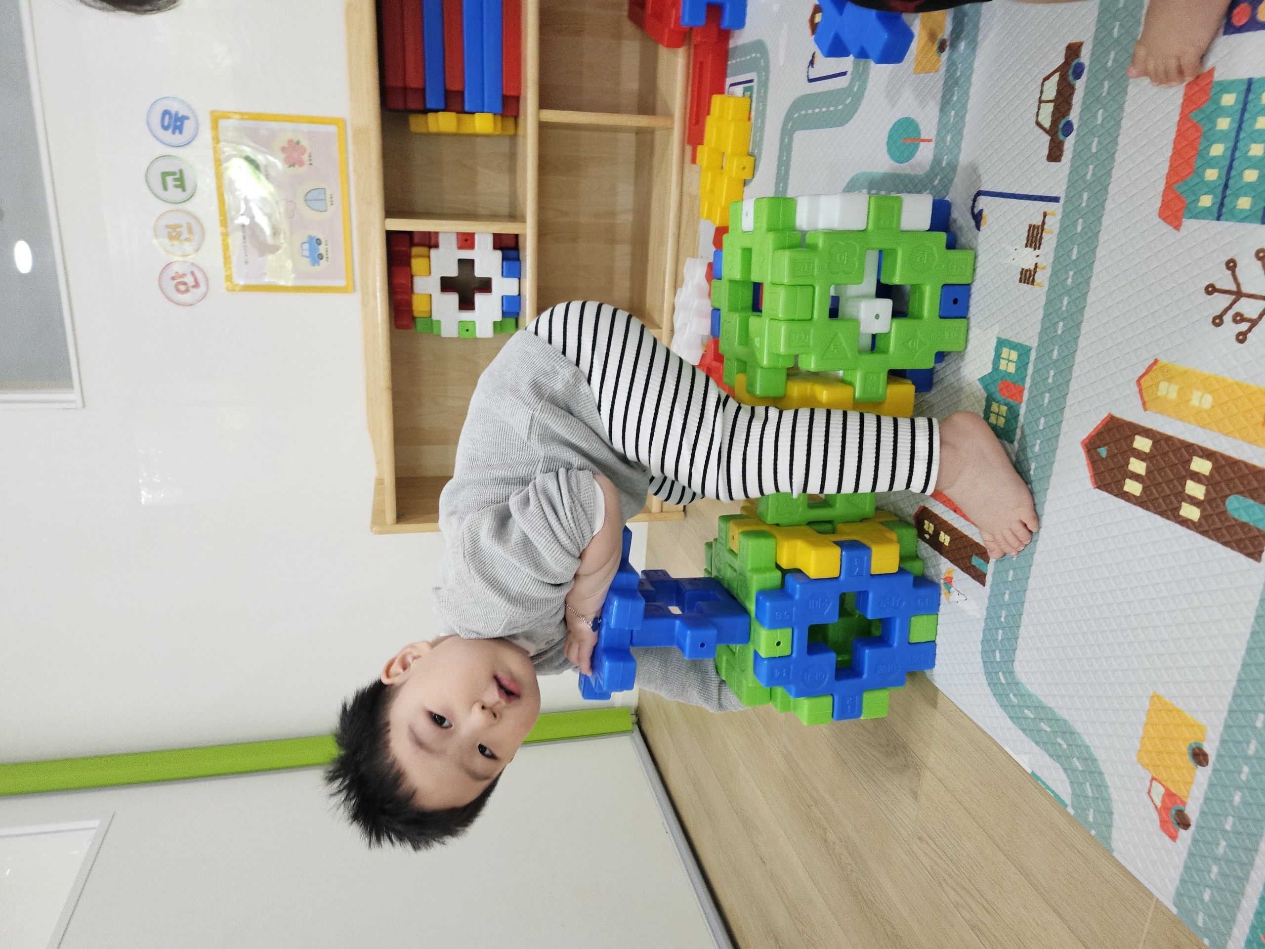 시술 5