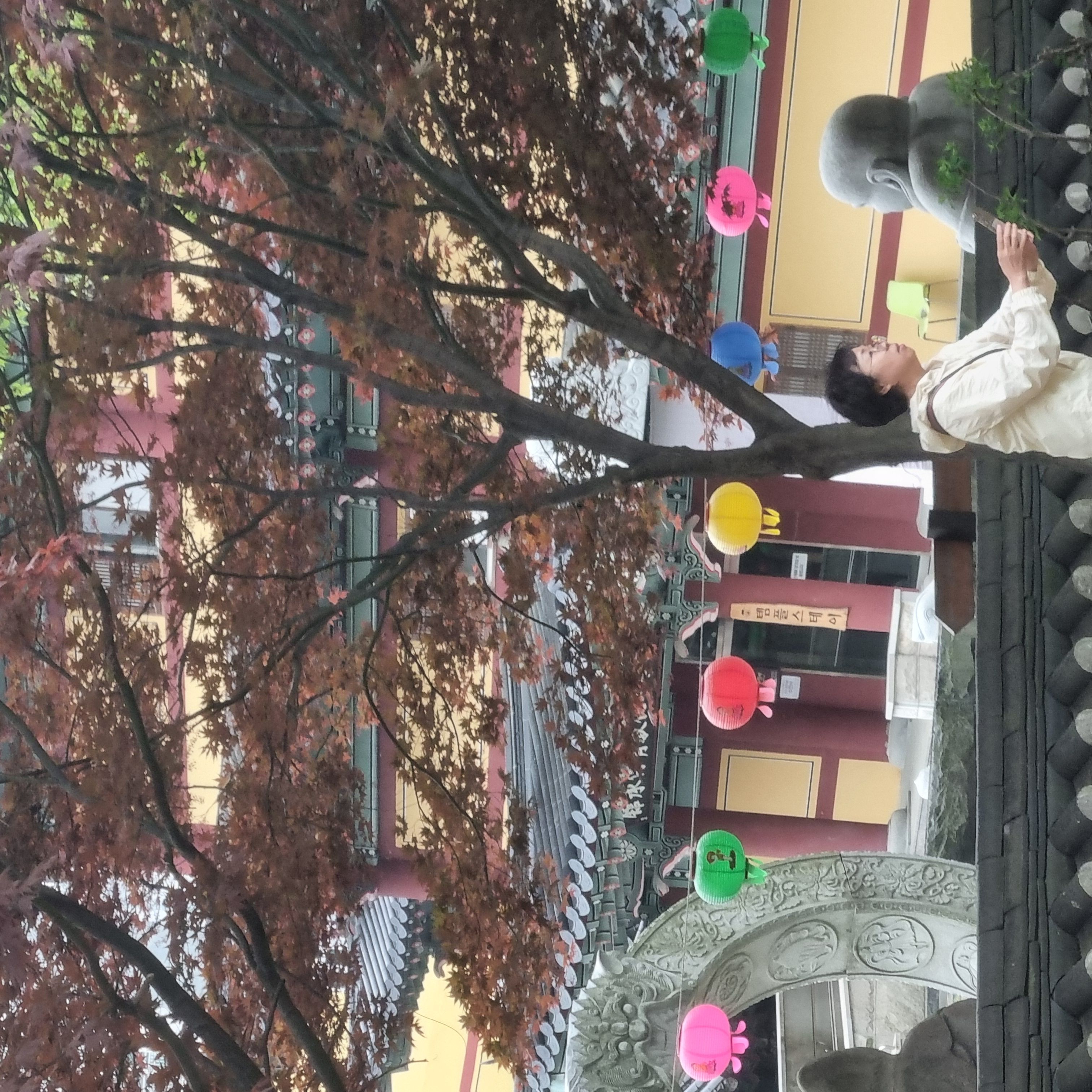 서울 종로구, 서울 동대문구 · 헤어 신입차