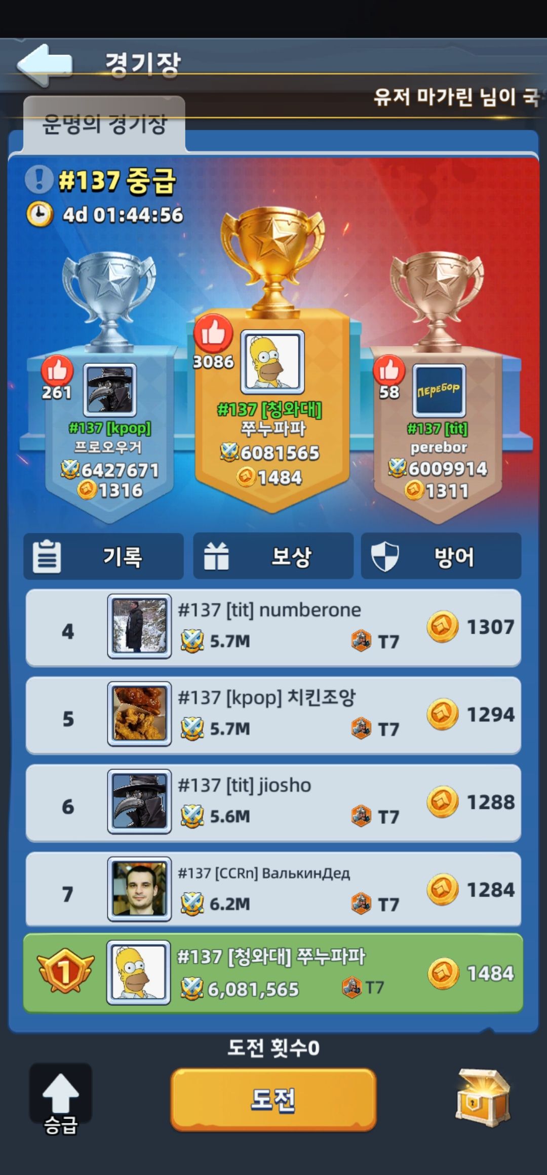 시술 5