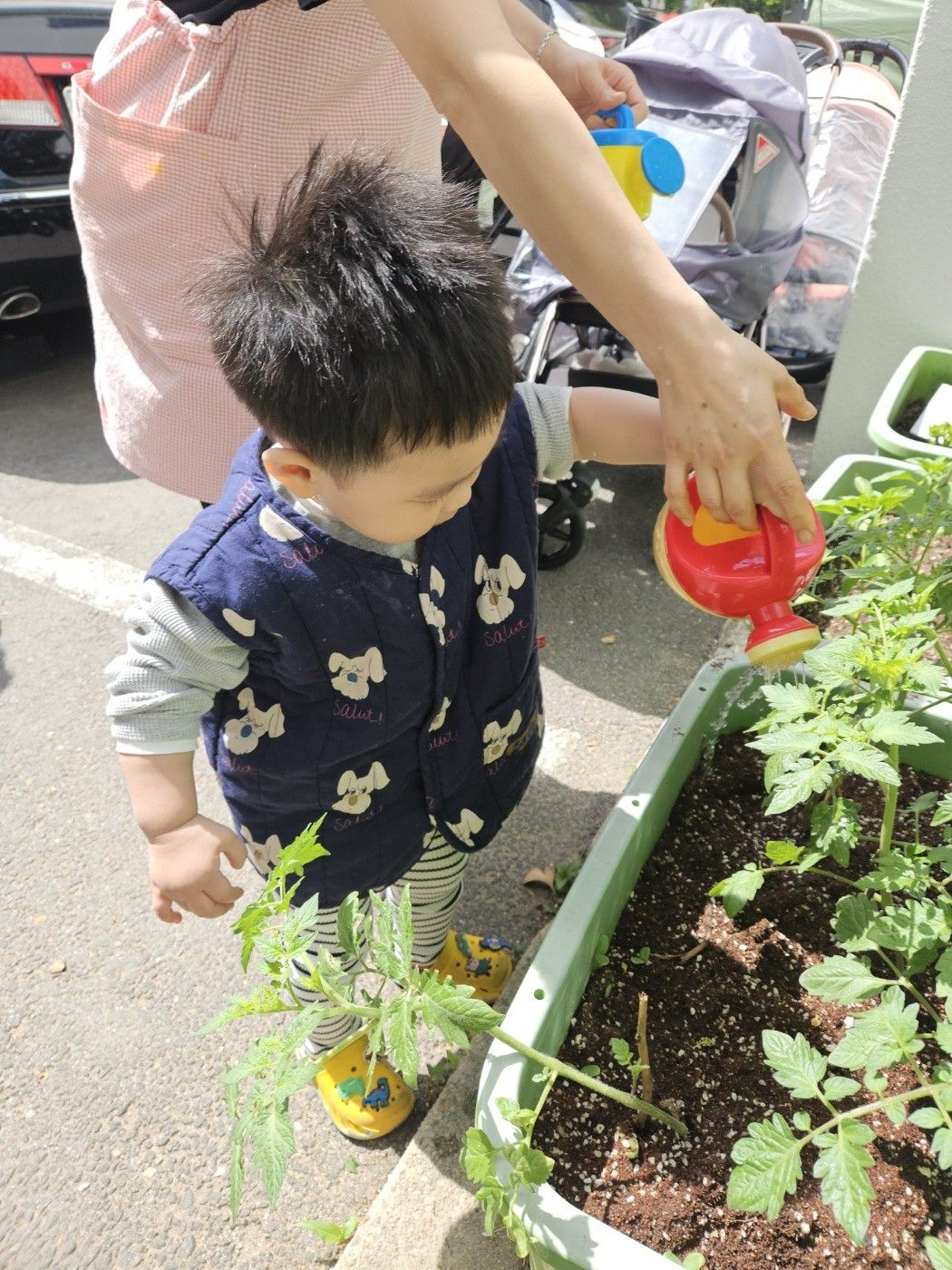 시술 4