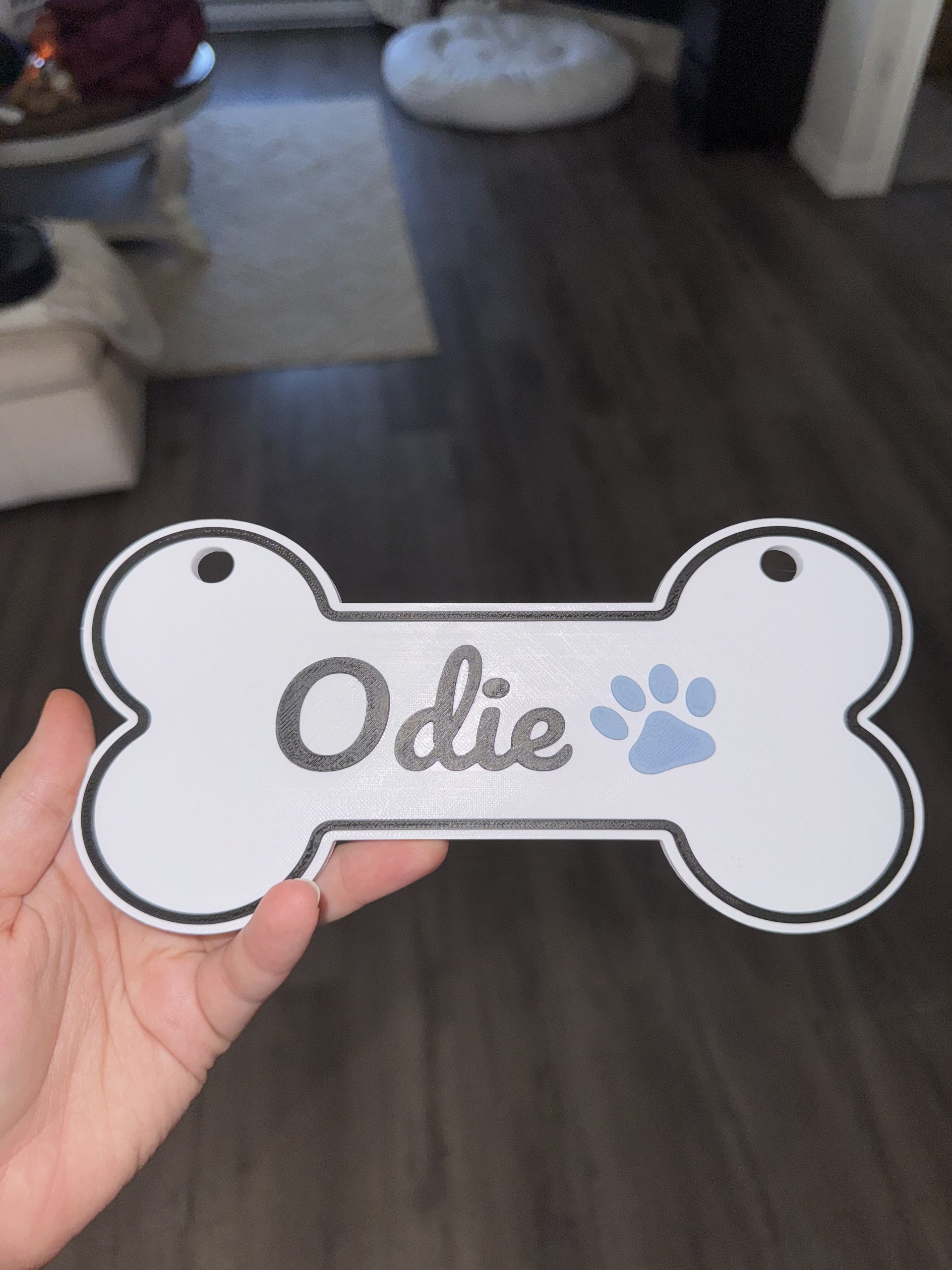 Custom Pet Name Sign for Kennel/Crate image 3