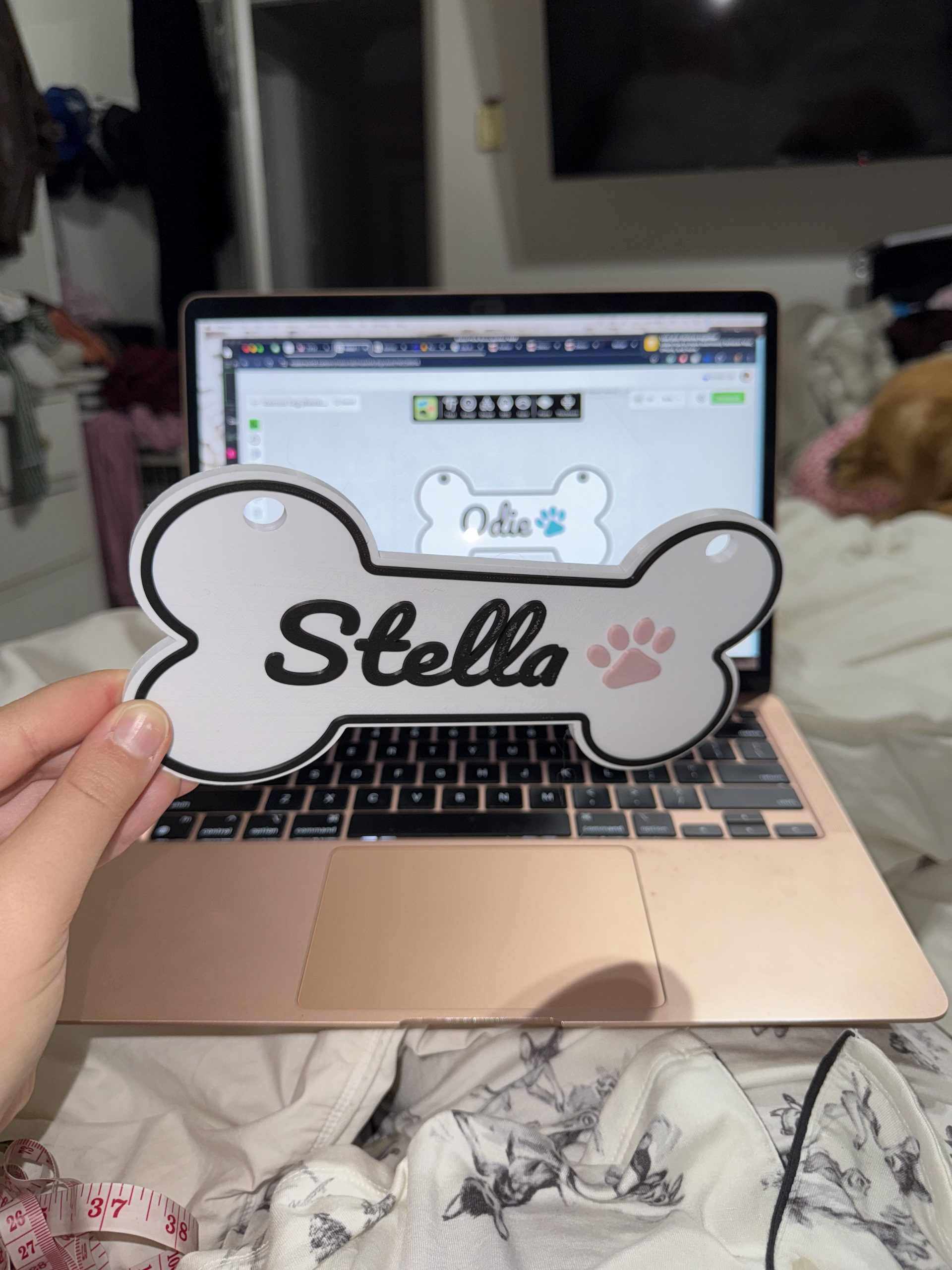 Custom Pet Name Sign for Kennel/Crate image 6