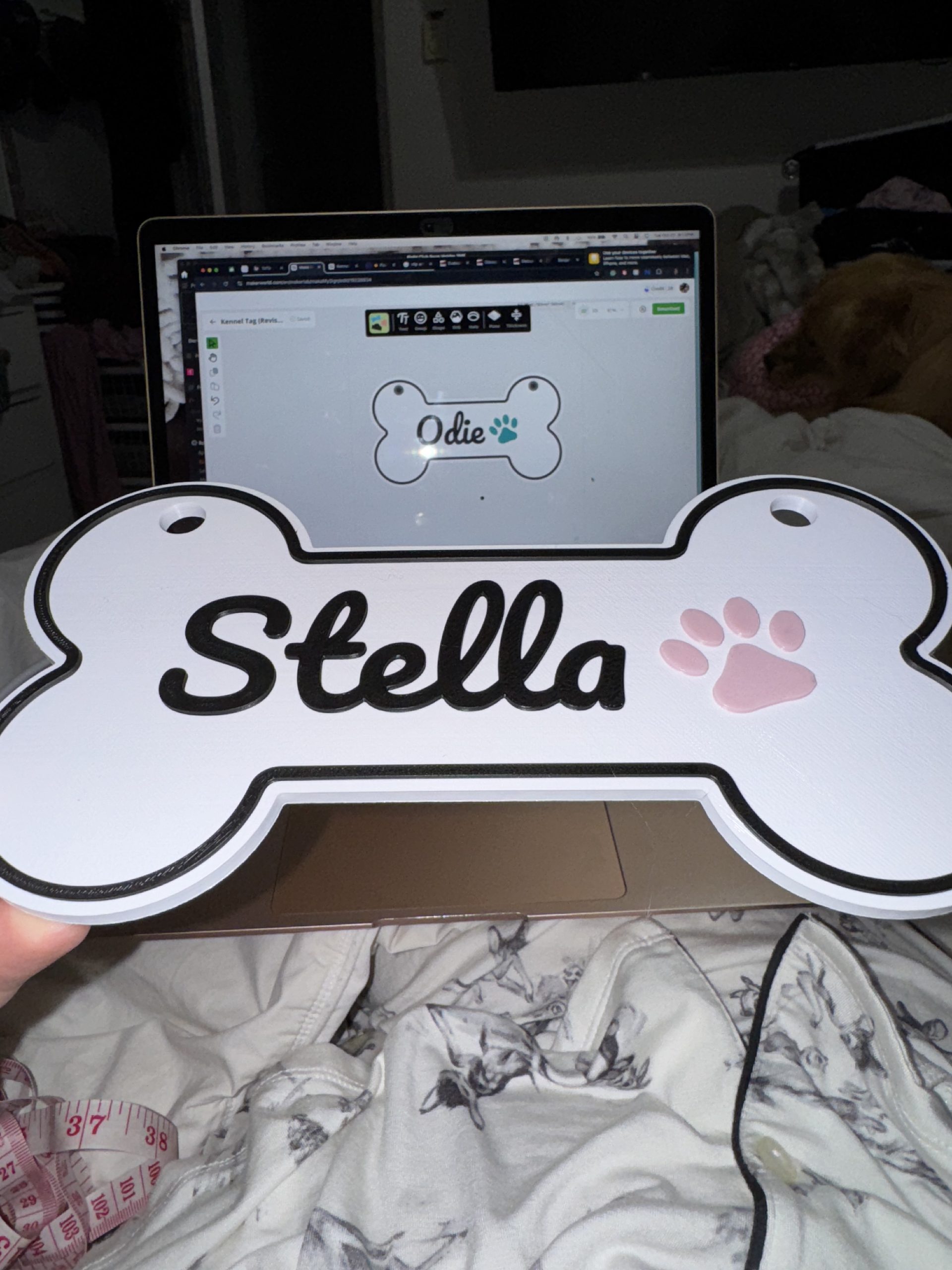 Custom Pet Name Sign for Kennel/Crate image 7