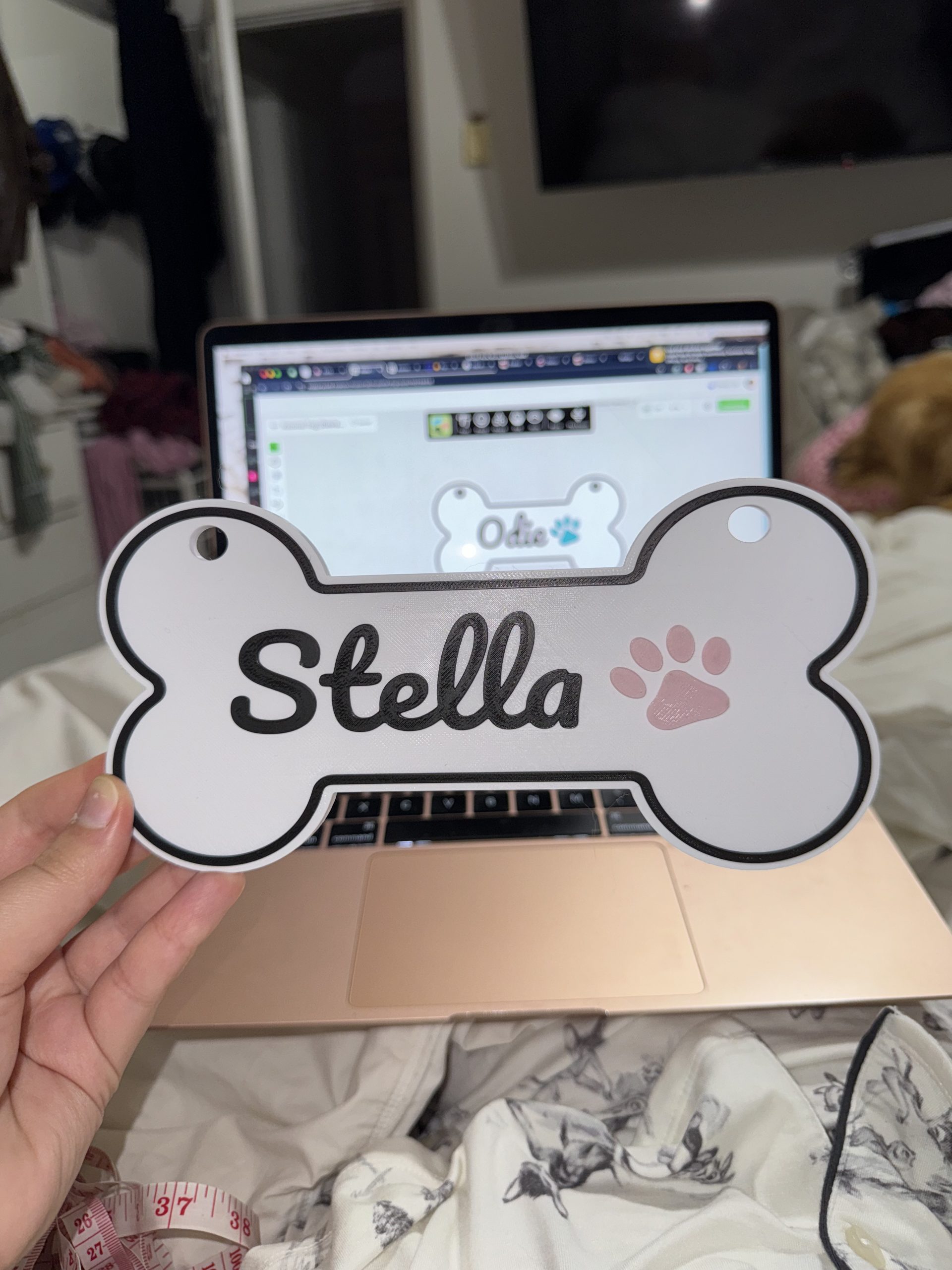 Custom Pet Name Sign for Kennel/Crate image 9