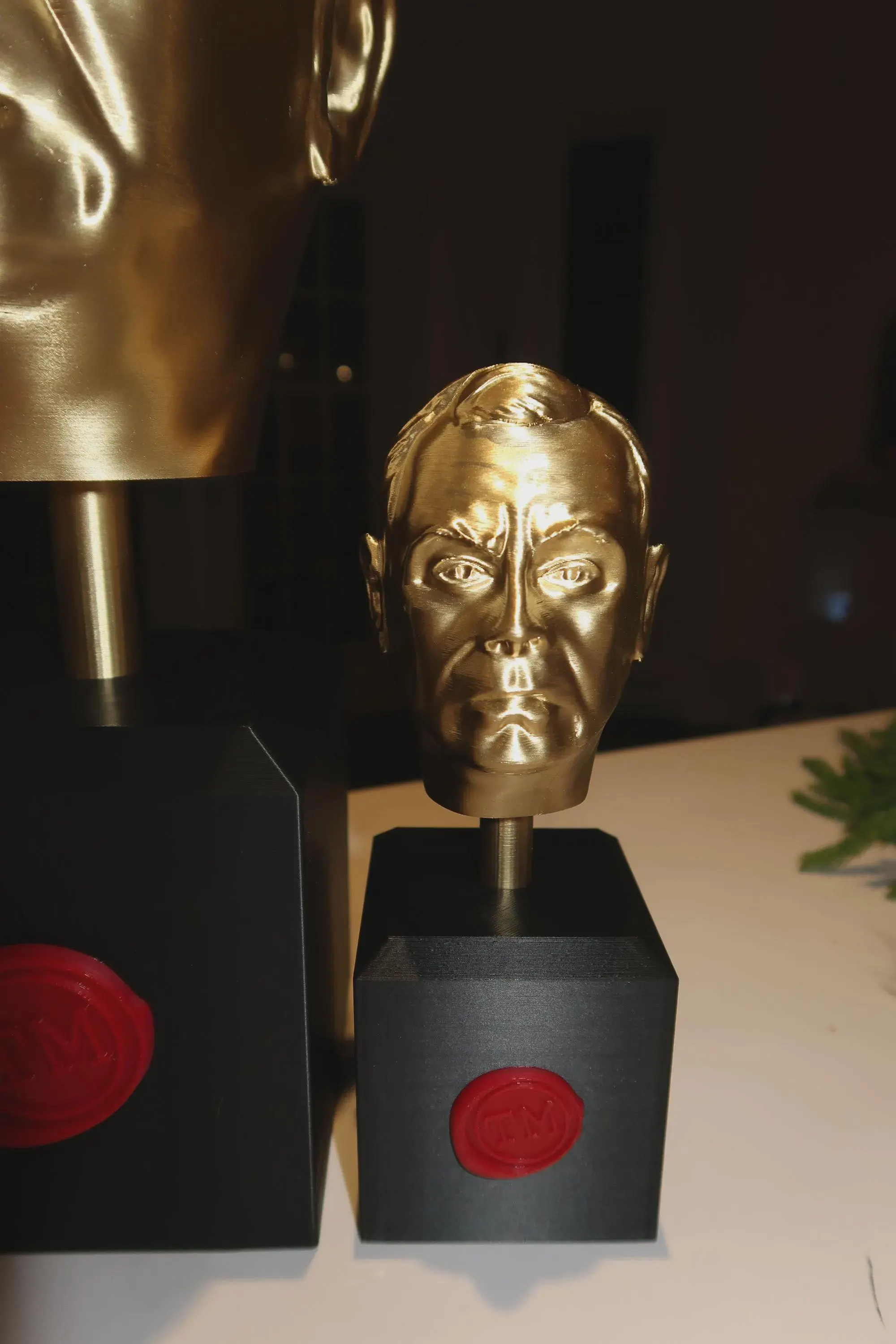 Customized Taskmaster Trophy Set – Personalized Trophy with Your Face | Large & Mini Trophy Options, Personalized Stamp, TM Bust Statue Gift image 9
