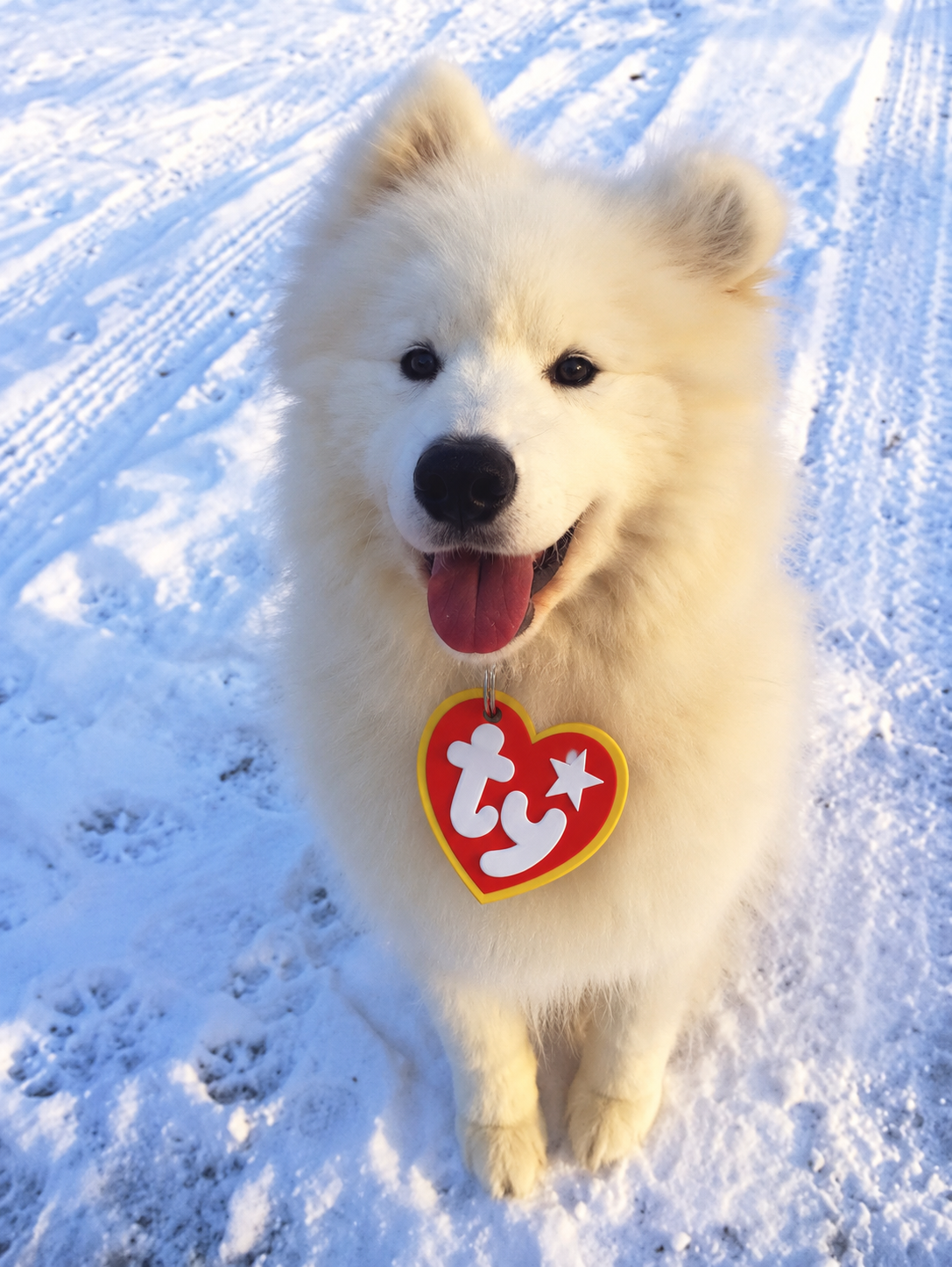 Halloween TY-Inspired Heart-Shaped Pet ID Tag – Cute Dog Costume Accessory image 4