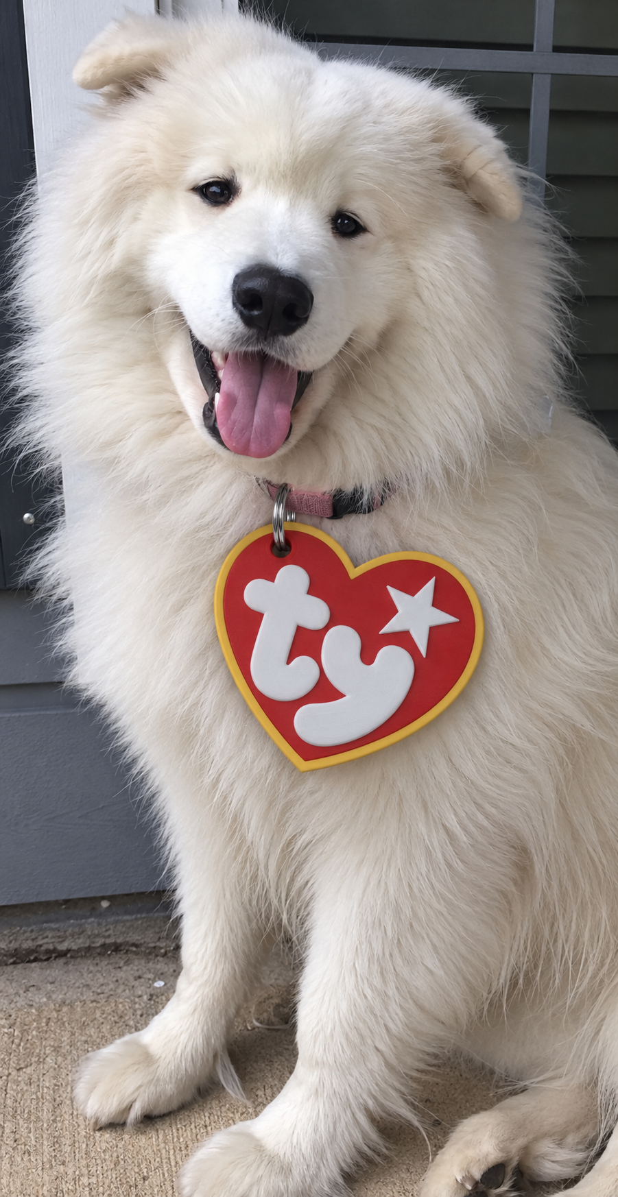 Halloween TY-Inspired Heart-Shaped Pet ID Tag – Cute Dog Costume Accessory image 6