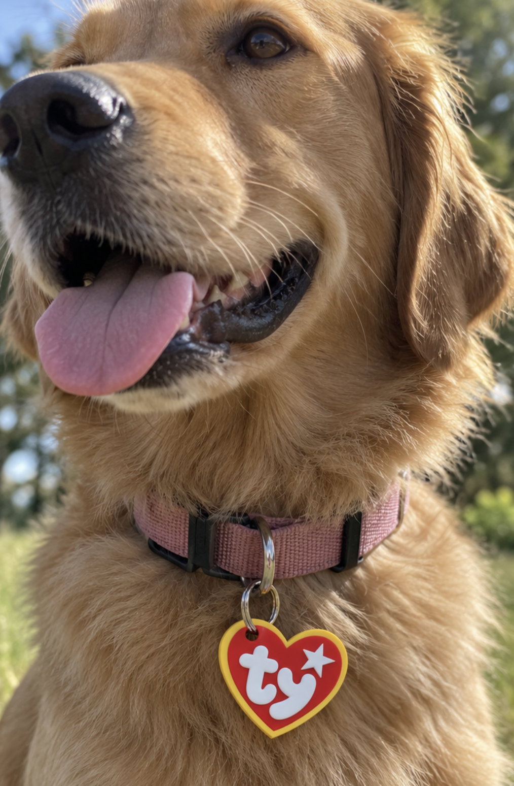 TY-Inspired Pet ID Tag cover image