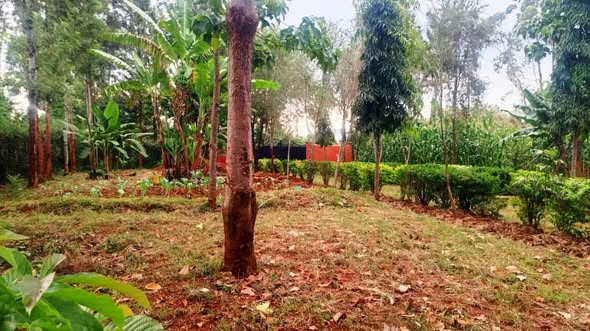 Residential Plot | Kapuonja | Kisumu