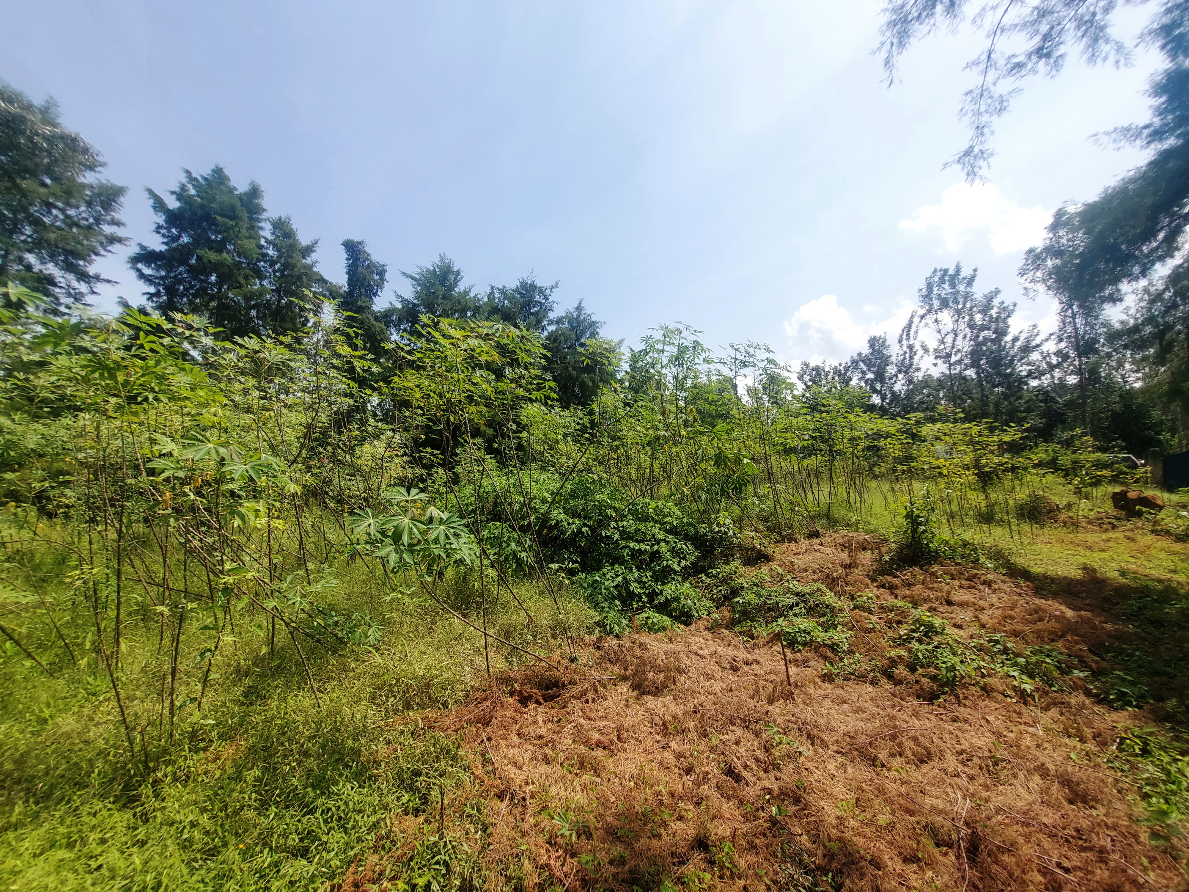 Residential Plot | Riat Hills | Kisumu