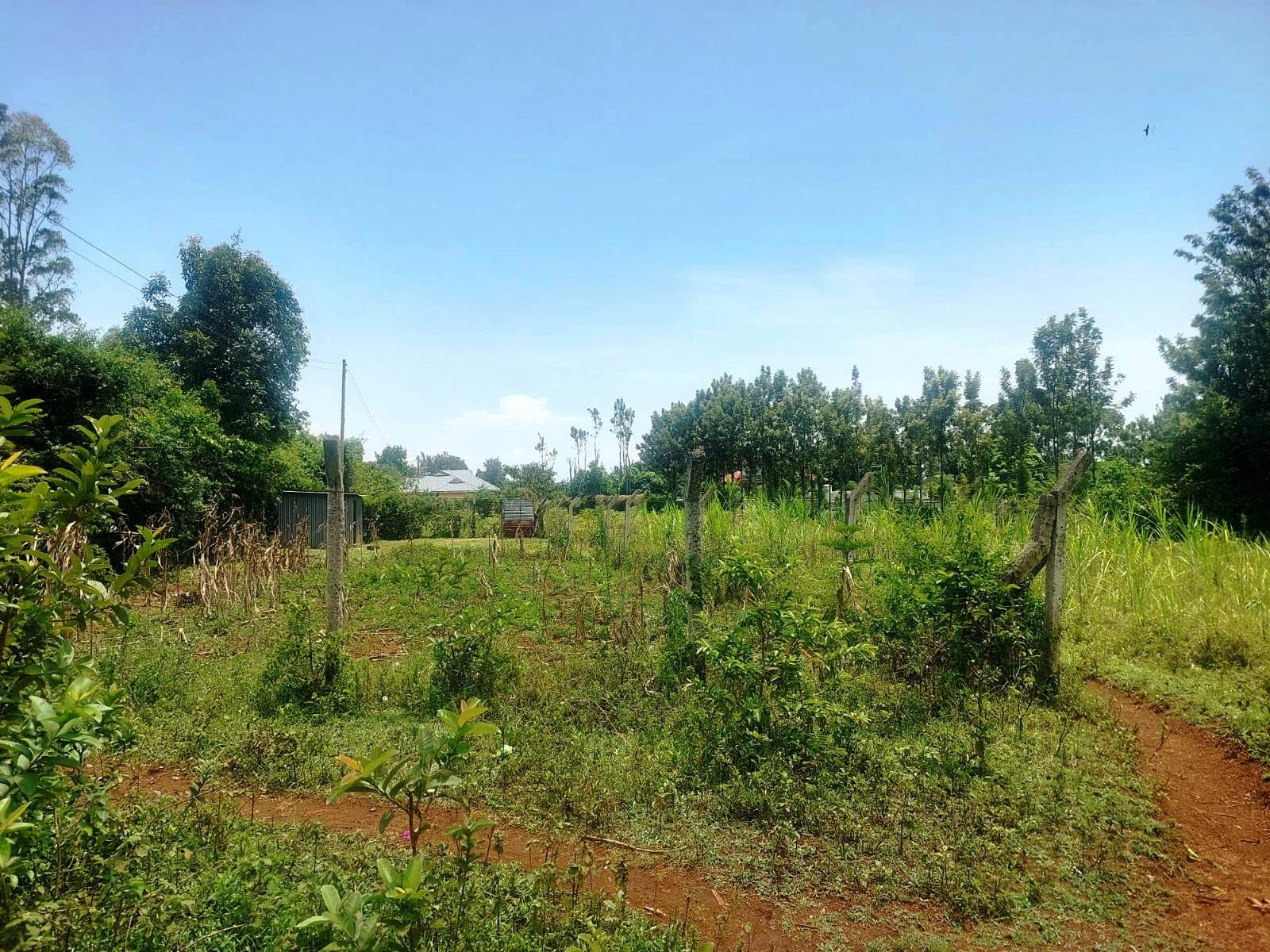 Residential Plot | Mkendwa | Kisumu