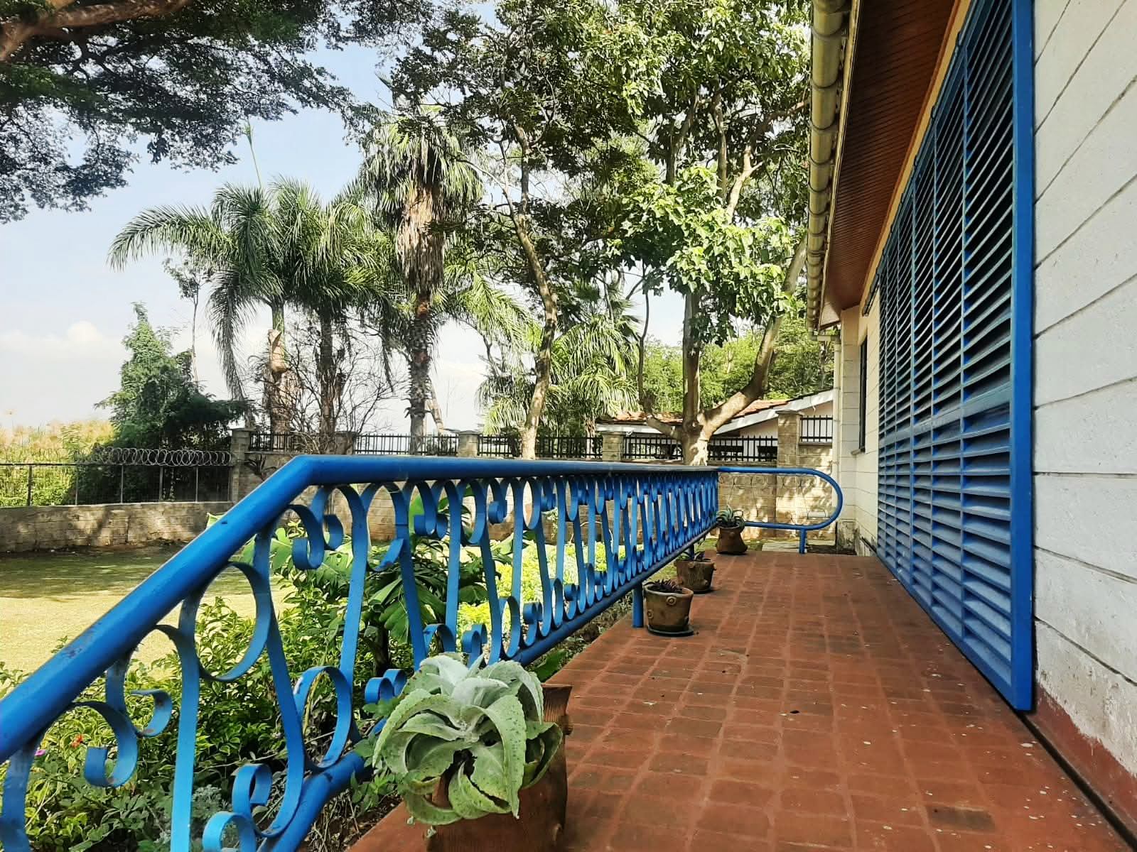 Thumbnail 12