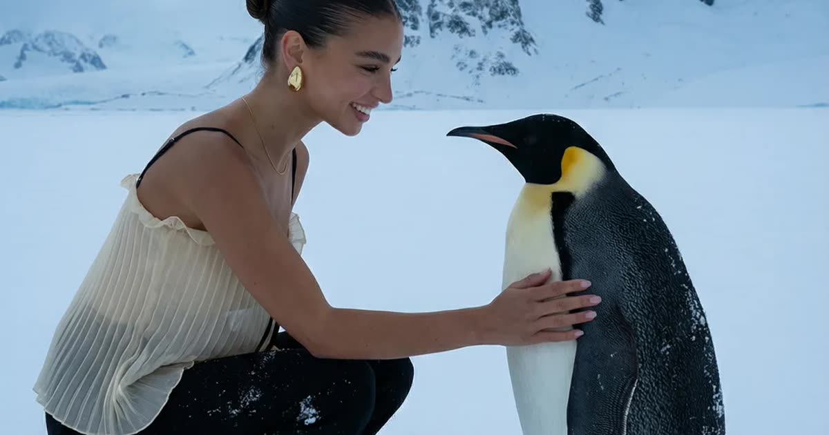 "Trend pingouin” : un plan cinématographique, froid et monumental