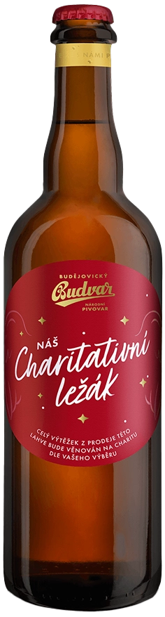 Charitativní Ležák image