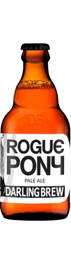 Rogue Pony image