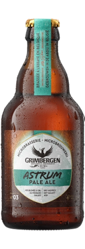Astrum Pale Ale image