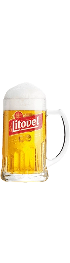 Kvasničák image