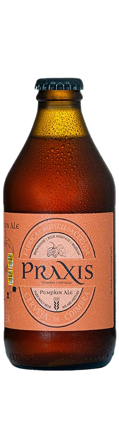 Pumpkin Ale image
