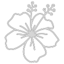 Jamaican Flower icon
