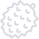 Soursop icon