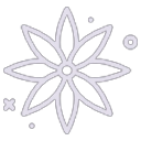 Aniseed icon
