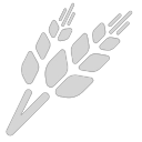 Barley icon