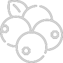 Cranberries icon