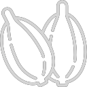 Cardamom icon