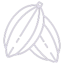 Cocoa icon