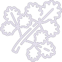 Coriander icon
