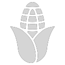 Maize icon