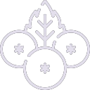 Elderberry icon
