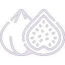 Figs icon