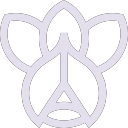 Guarana Extract icon