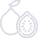 Guava icon