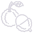 Lychee icon