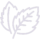 Mint icon