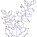 Oats icon