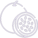 Passion Fruit icon