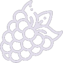Raspberries icon