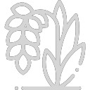 Rice icon