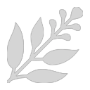 Plant Alcoholate icon