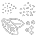 Spices icon