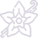 Vanilla icon