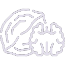 Nuts Aroma icon