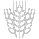 Wheat Malt icon