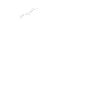 Hokkaido Brewing