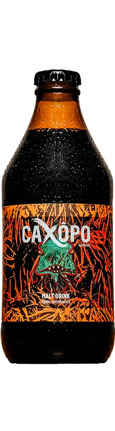 Caxôpo image