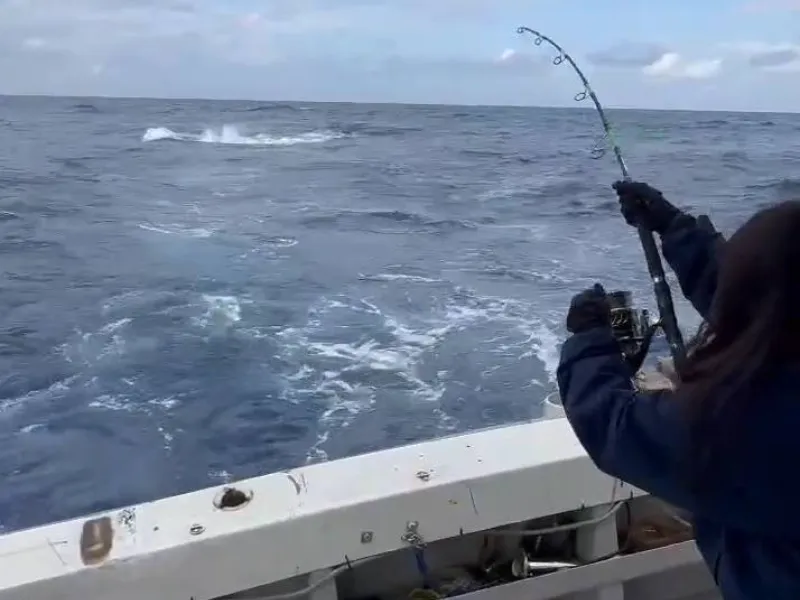 146cmの女性が150kgを釣る